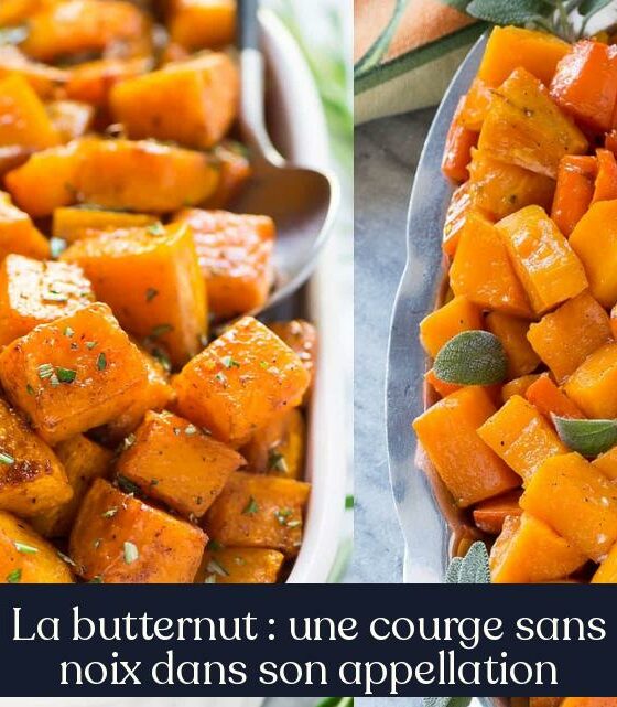 La butternut : une courge sans noix dans son appellation