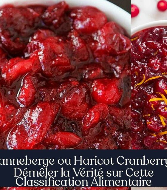 Canneberge ou Haricot Cranberry : Démêler la Vérité sur Cette Classification Alimentaire