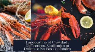 Langoustine et Crawdad : Différences, Similitudes et Délices à Ne Pas Confondre