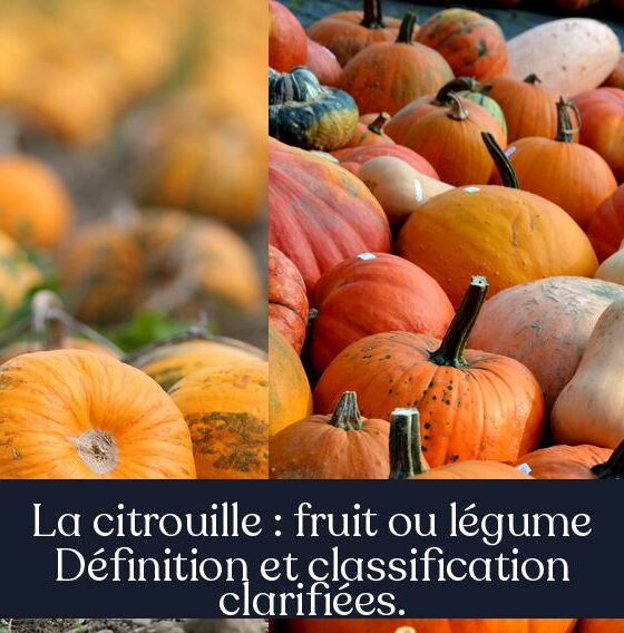 La citrouille : fruit ou légume Définition et classification clarifiées.