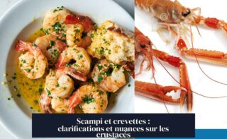 Scampi et crevettes : clarifications et nuances sur les crustacés