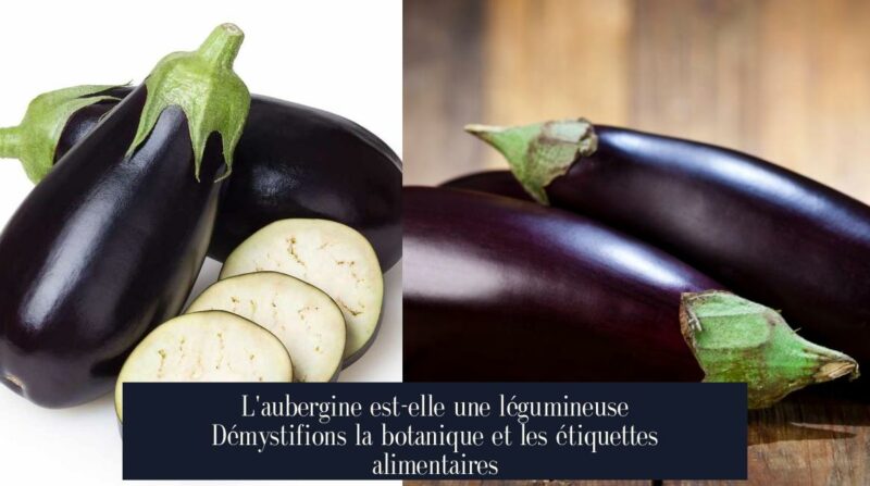 L'aubergine est-elle une légumineuse Démystifions la botanique et les étiquettes alimentaires