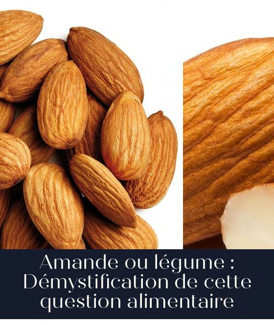 Amande ou légume : Démystification de cette question alimentaire