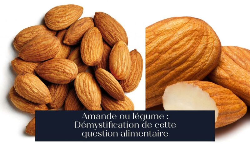Amande ou légume : Démystification de cette question alimentaire