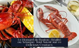 Le Homard de Boston : Réalité ou Arnaque Tout Savoir sur ce Délicieux Crustacé.