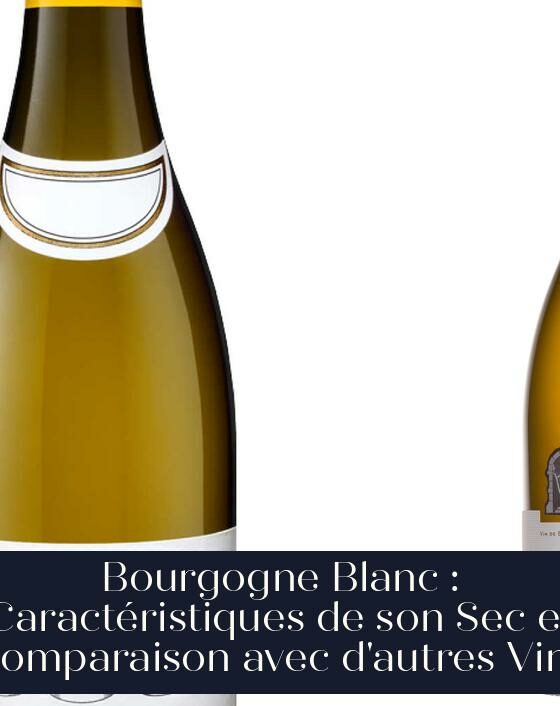 Bourgogne Blanc : Caractéristiques de son Sec et Comparaison avec d'autres Vins