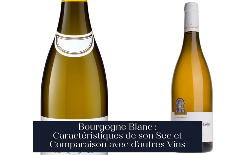 Bourgogne Blanc : Caractéristiques de son Sec et Comparaison avec d'autres Vins