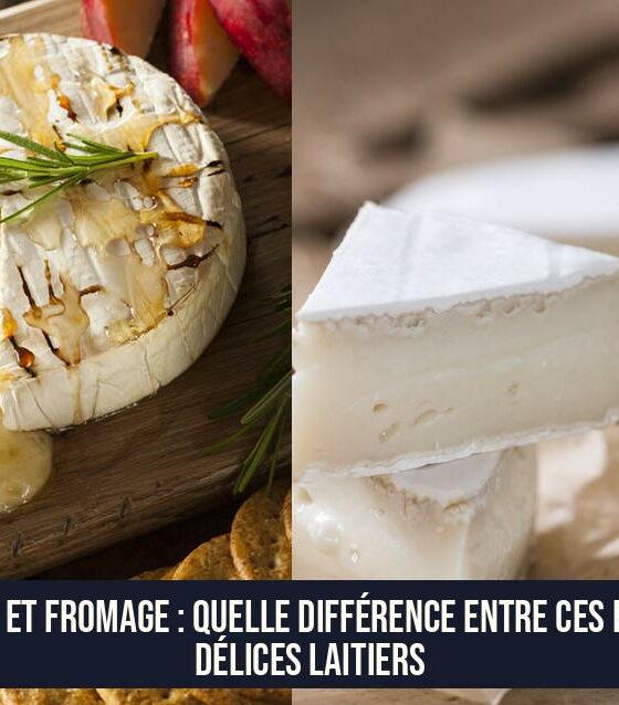 Brie et fromage : Quelle différence entre ces deux délices laitiers