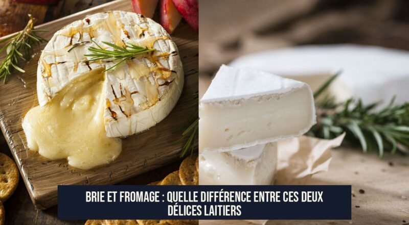 Brie et fromage : Quelle différence entre ces deux délices laitiers