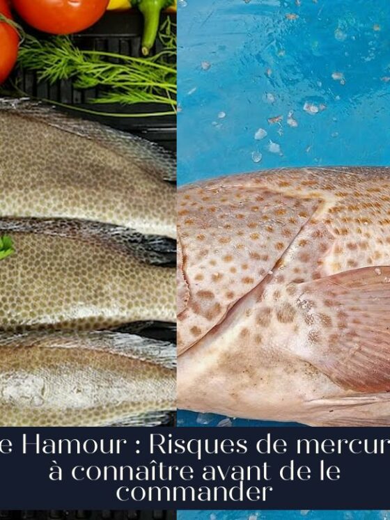 Le Hamour : Risques de mercure à connaître avant de le commander