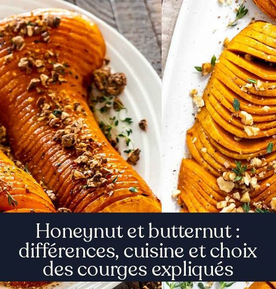 Honeynut et butternut : différences, cuisine et choix des courges expliqués