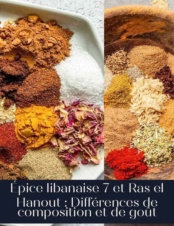 Épice libanaise 7 et Ras el Hanout : Différences de composition et de goût