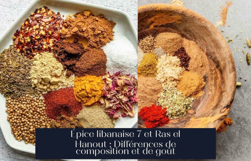Épice libanaise 7 et Ras el Hanout : Différences de composition et de goût