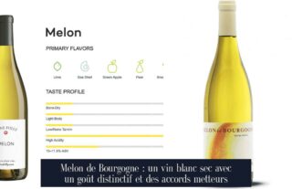 Melon de Bourgogne : un vin blanc sec avec un goût distinctif et des accords metteurs