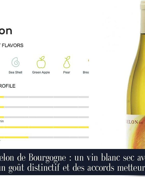 Melon de Bourgogne : un vin blanc sec avec un goût distinctif et des accords metteurs