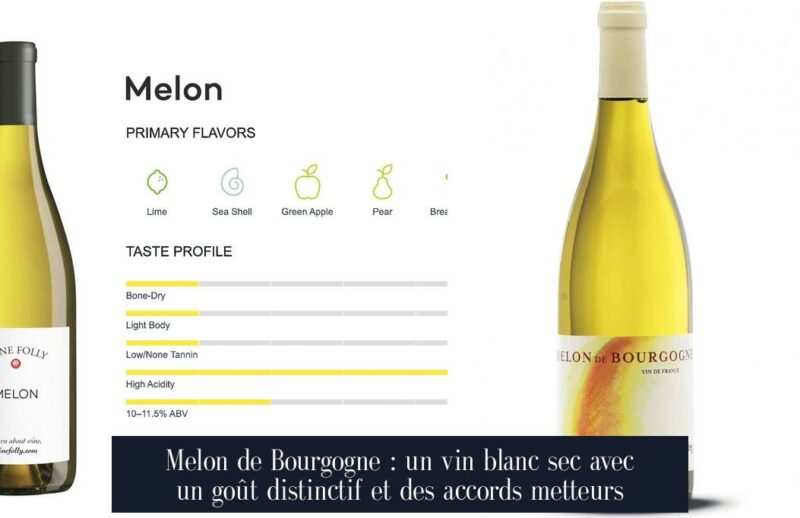 Melon de Bourgogne : un vin blanc sec avec un goût distinctif et des accords metteurs