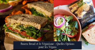 Panera Bread et le Véganisme : Quelles Options pour les Végans