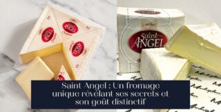 Saint Angel : Un fromage unique révélant ses secrets et son goût distinctif