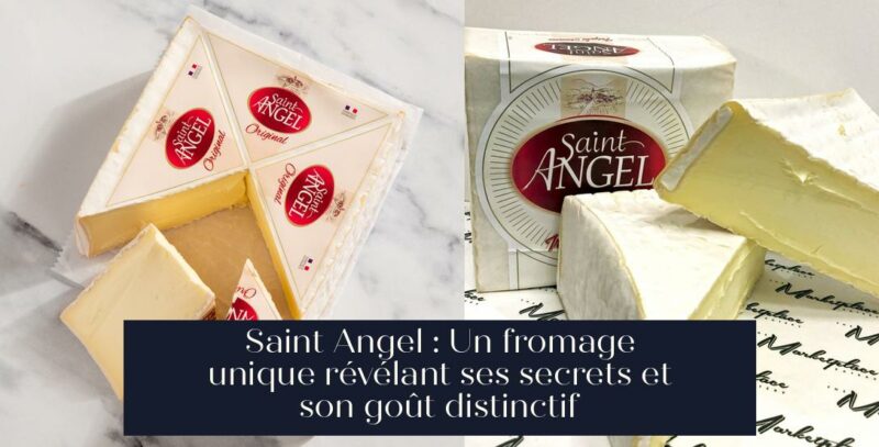 Saint Angel : Un fromage unique révélant ses secrets et son goût distinctif