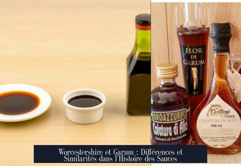 Worcestershire et Garum : Différences et Similarités dans l'Histoire des Sauces
