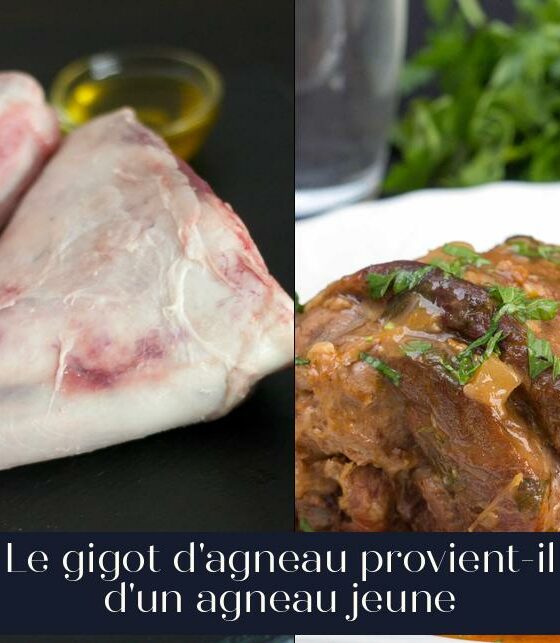 Le gigot d'agneau provient-il d'un agneau jeune