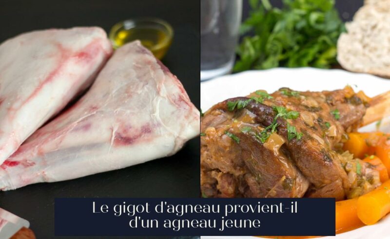 Le gigot d'agneau provient-il d'un agneau jeune