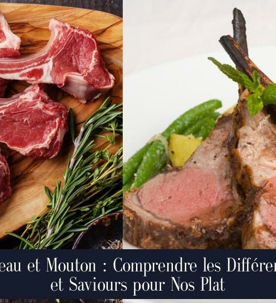 Agneau et Mouton : Comprendre les Différences et Saviours pour Nos Plat