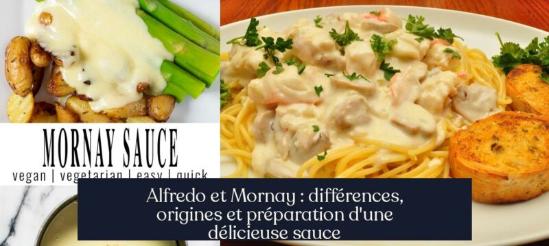 Alfredo et Mornay : différences, origines et préparation d'une délicieuse sauce