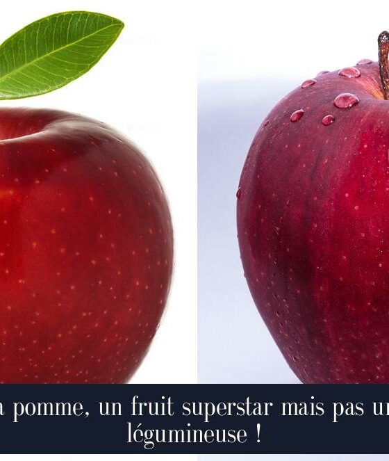 La pomme, un fruit superstar mais pas une légumineuse !