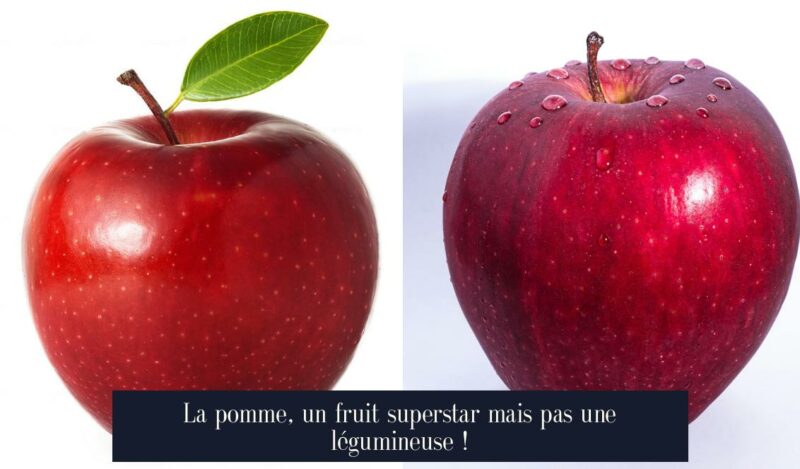 La pomme, un fruit superstar mais pas une légumineuse !