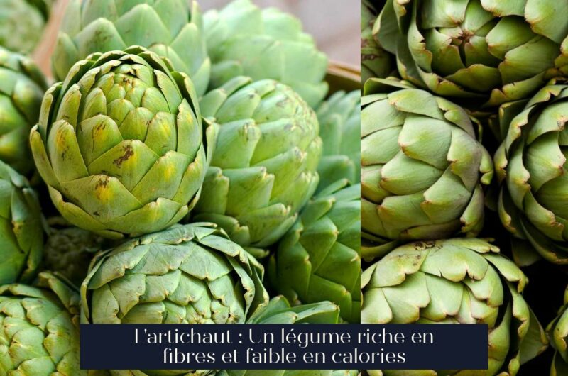 L'artichaut : Un légume riche en fibres et faible en calories