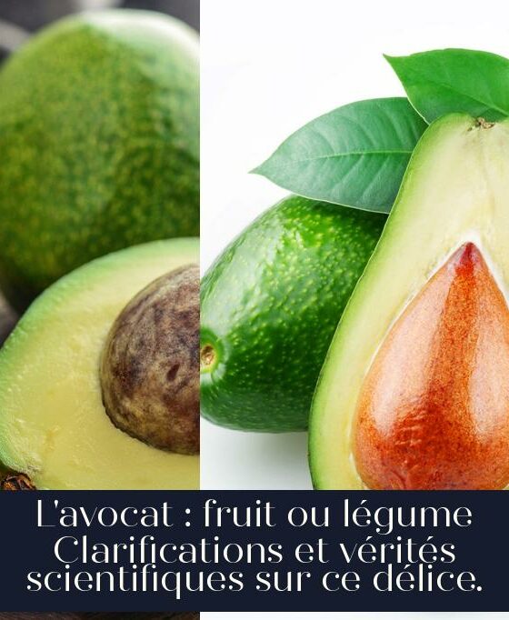 L'avocat : fruit ou légume Clarifications et vérités scientifiques sur ce délice.