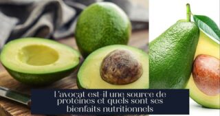 L'avocat est-il une source de protéines et quels sont ses bienfaits nutritionnels