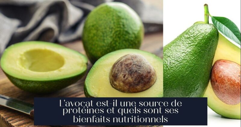 L'avocat est-il une source de protéines et quels sont ses bienfaits nutritionnels