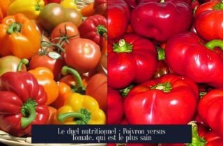 Le duel nutritionnel : Poivron versus Tomate, qui est le plus sain
