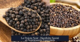 Le Poivre Noir : Bienfaits Santé et Nutriments Essentiels