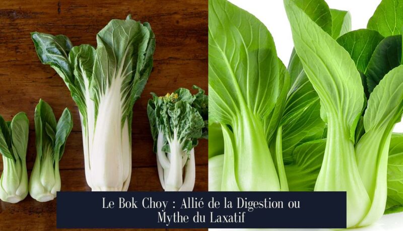 Le Bok Choy : Allié de la Digestion ou Mythe du Laxatif
