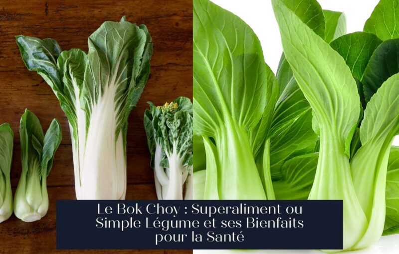 Le Bok Choy : Superaliment ou Simple Légume et ses Bienfaits pour la Santé