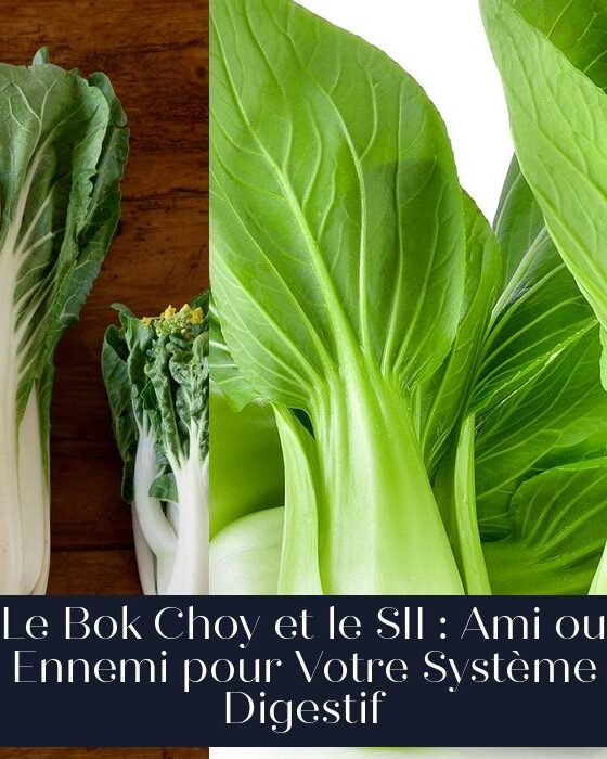 Le Bok Choy et le SII : Ami ou Ennemi pour Votre Système Digestif