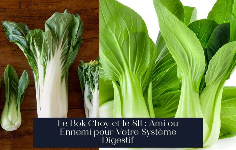 Le Bok Choy et le SII : Ami ou Ennemi pour Votre Système Digestif