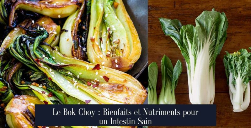 Le Bok Choy : Bienfaits et Nutriments pour un Intestin Sain