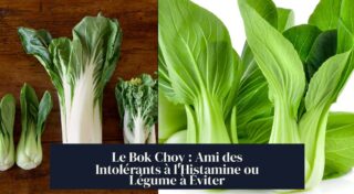 Le Bok Choy : Ami des Intolérants à l'Histamine ou Légume à Éviter