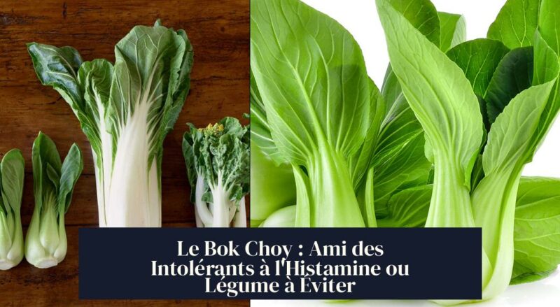 Le Bok Choy : Ami des Intolérants à l'Histamine ou Légume à Éviter