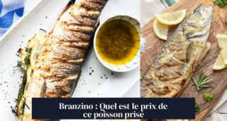 Branzino : Quel est le prix de ce poisson prisé