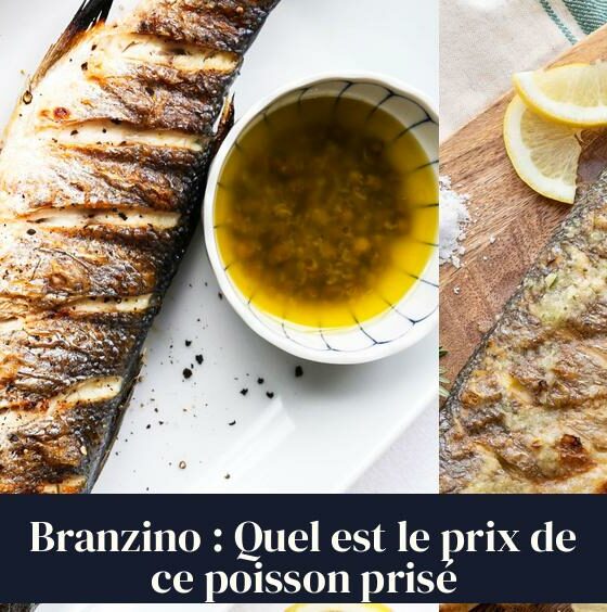 Branzino : Quel est le prix de ce poisson prisé