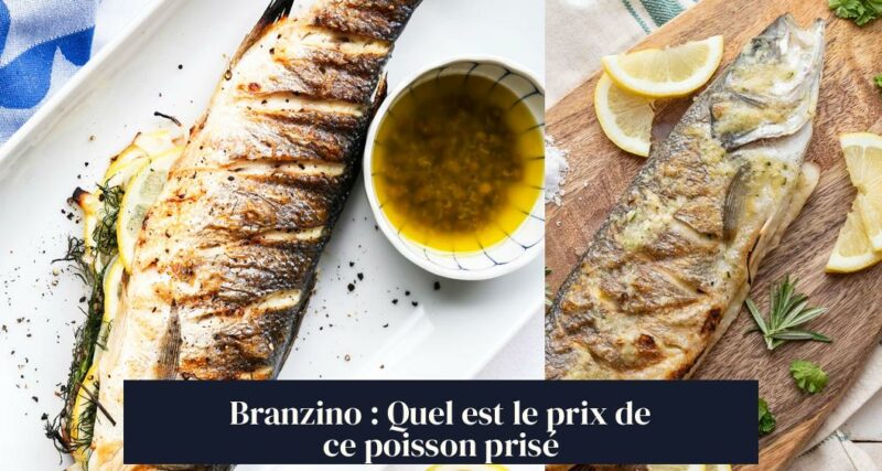 Branzino : Quel est le prix de ce poisson prisé