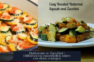 Butternut et Zucchini : Différences essentielles entre ces deux courges