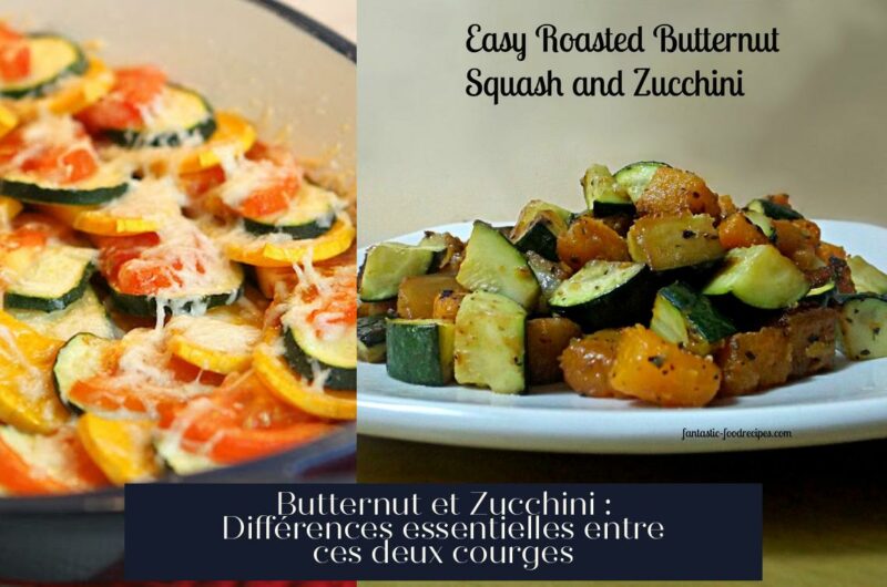 Butternut et Zucchini : Différences essentielles entre ces deux courges