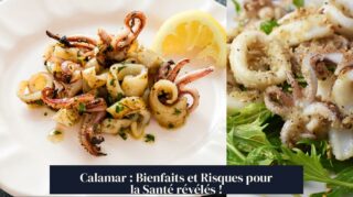 Calamar : Bienfaits et Risques pour la Santé révélés !