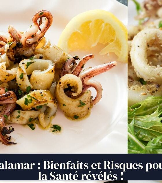 Calamar : Bienfaits et Risques pour la Santé révélés !